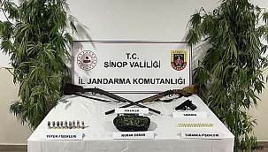 Sinop'ta jandarmadan uyuşturucu operasyonu: 1 gözaltı