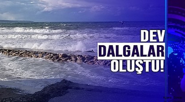 DALGAKIRANI AŞTI!