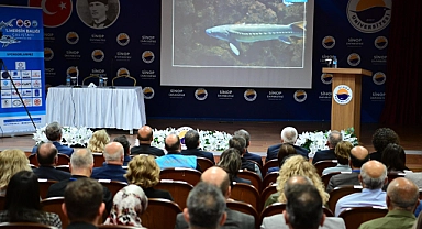 SİNOP ÜNİVERSİTESİ'NDE MERSİN BALIĞI ÇALIŞTAYI YAPILDI!