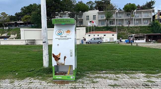 CAN DOSTLARI İÇİN YERİNDE ÖNERİ!