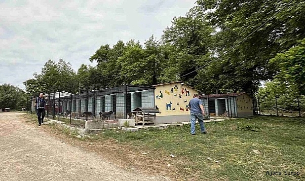 Gerze'de Ek Barınak Projesi için çalışmalar başladı