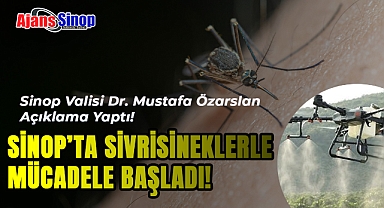 SİNOP'TA SİVRİSİNEKLERLE MÜCADELE BAŞLADI!