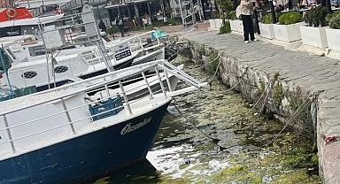 BU MANZARA VATANDAŞA REVA MI?