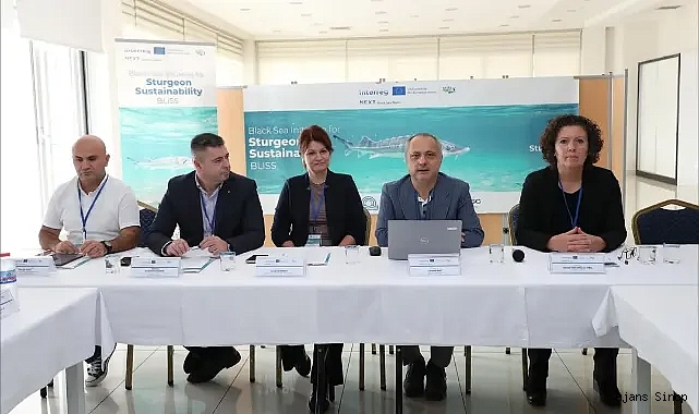 NESLİ TÜKENMEKTE OLAN MERSİN BALIĞI UYDU İLE İZLENECEK