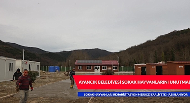 AYANCIK BELEDİYESİ SOKAK HAYVANLARI REHABİLİTASYON MERKEZİ FAALİYETE HAZIRLANIYOR