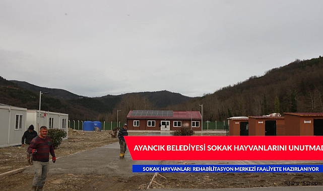 AYANCIK BELEDİYESİ SOKAK HAYVANLARI REHABİLİTASYON MERKEZİ FAALİYETE HAZIRLANIYOR