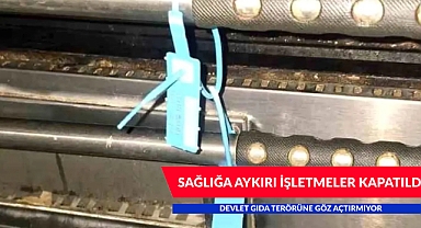SAĞLIĞA AYKIRI İŞLETMELER KAPATILDI