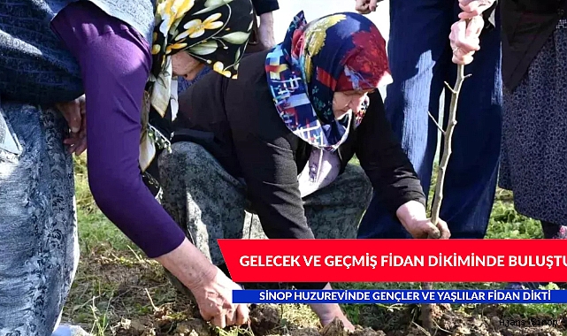SİNOP'TA GEÇMİŞ VE GELECEK FİDAN DİKİMİNDE BULUŞTU