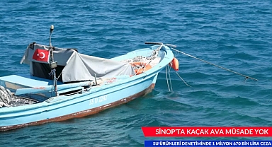 SİNOP'TA KAÇAK AVA MÜSADE YOK