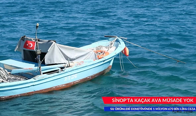 SİNOP'TA KAÇAK AVA MÜSADE YOK