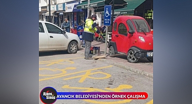 AYANCIK BELEDİYESİ'NDEN ÖRNEK ÇALIŞMA