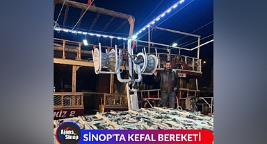 SİNOP'TA KEFAL BEREKETİ