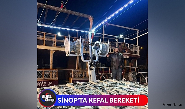 SİNOP'TA KEFAL BEREKETİ