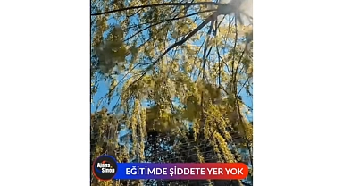 EĞİTİMDE ŞİDDETE YER YOK
