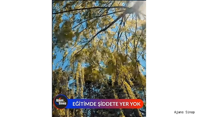 EĞİTİMDE ŞİDDETE YER YOK