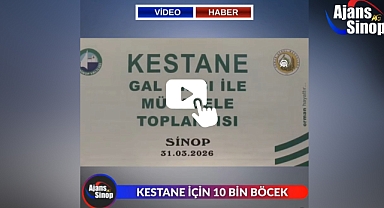 KESTANE İÇİN 10 BİN BÖCEK