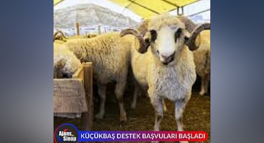 KÜÇÜKBAŞ HAYVAN DESTEK BAŞVULARI BAŞLADI