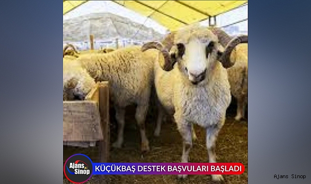 KÜÇÜKBAŞ HAYVAN DESTEK BAŞVULARI BAŞLADI