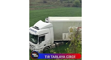 TIR TARLAYA GİRDİ