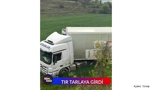 TIR TARLAYA GİRDİ