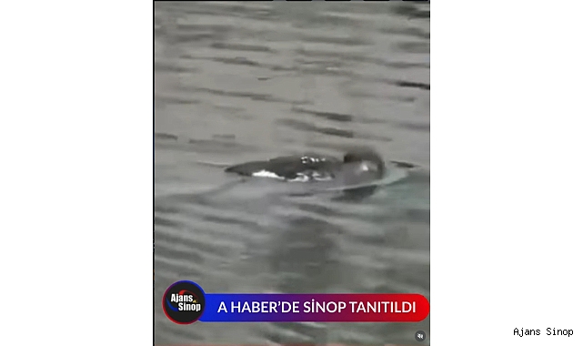 A HABER'DE SİNOP TANITILDI