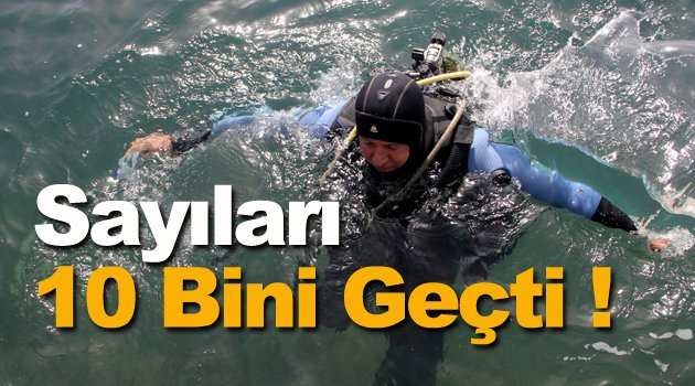 29 yılda 10 binin üzerinde dalgıç yetiştirdi