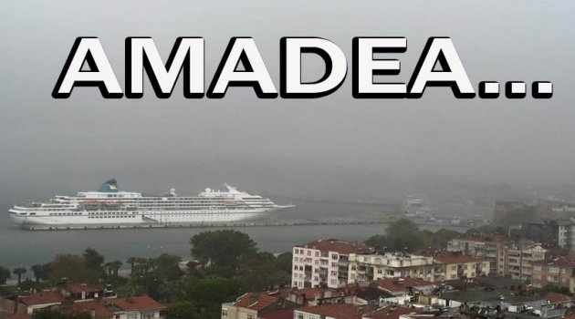 "Amadea" Sinop'a Demirledi