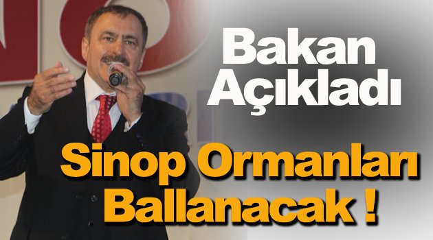 Bakan Eroğlu; Sinop'ta Bal Ormanları Kurulacak !