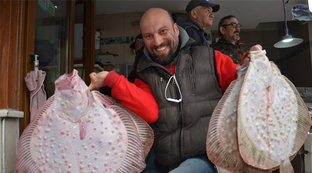 Balıkçıların yüzü kalkan balığıyla güldü