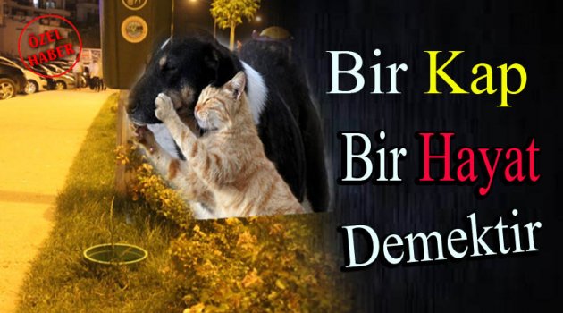 Bir Kap Bir Hayat Demek !!!