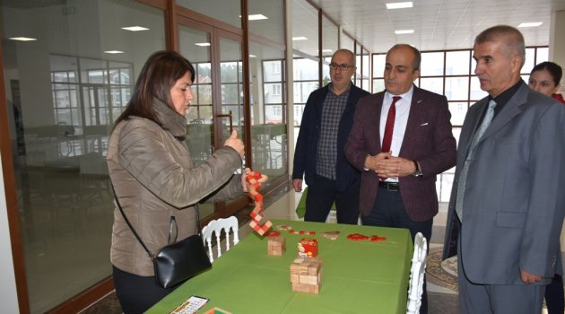 Boyabat'ta zeka geliştirici oyunlar sergisi açıldı