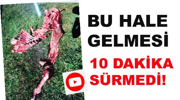 Hemde Bu Mevsimde!