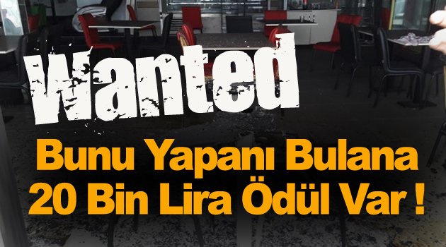 Her yerde aranıyor, bulana 20 lira ödül !