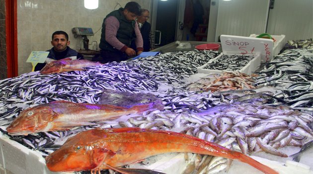 Karadeniz'de balık bolluğu