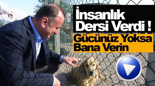 Köpekleri Yayladan Kurtaran Başkan Ayhan İnsanlık Dersi Verdi !