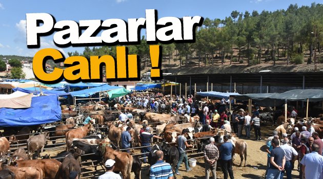  Kurban pazarında yoğunluk