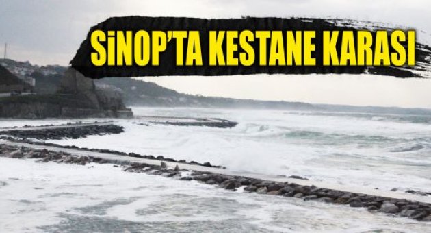 Sinop'ta 'Kestane Krası' fırtınası