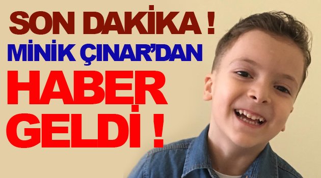 Minik Çınar'dan Haber Var !