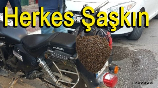 Motosiklet Kaskına Konan Arılar Şaşırttı