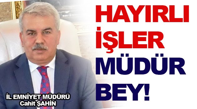 Müdür bey neler oluyor böyle?