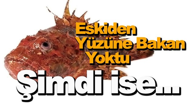 Namı her geçen gün artıyor