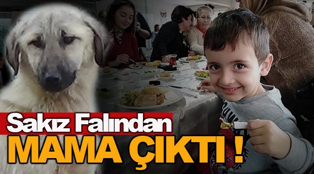 Niyetleri Sakız Falından Çıktı !