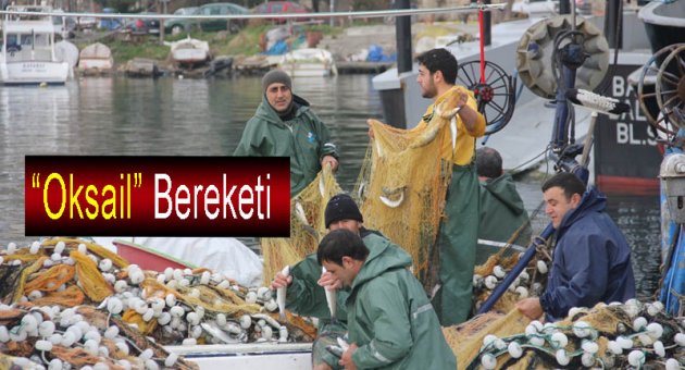 Sinop Limanında "Oksail" Bereketi
