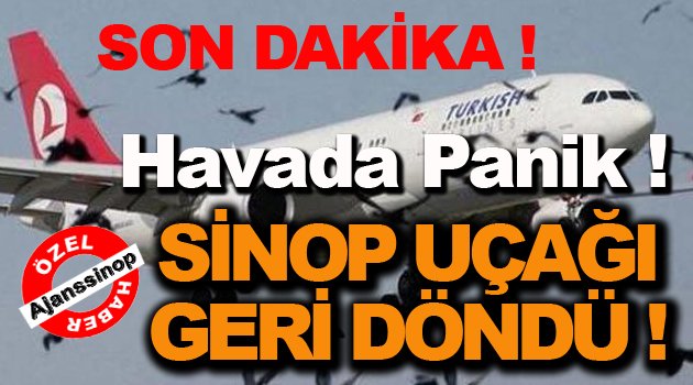Sinop Uçağı Ani İniş Yaptı !