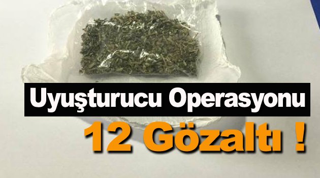 Sinop ve Samsun'da uyuşturucu operasyonu