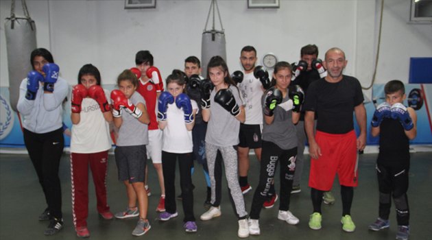 Sinoplu boksörler şampiyonaya hazırlanıyor