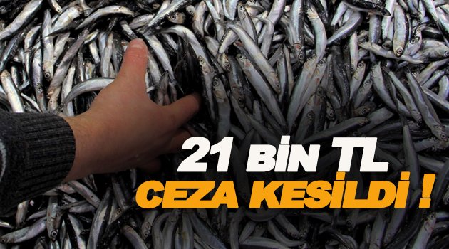 Sinop'ta balıkçılara yönelik denetim