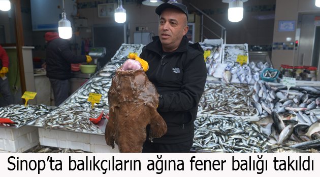 Sinop'ta balıkçıların ağına fener balığı takıldı