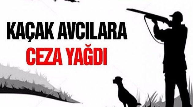 Sinop'ta kaçak avcılara 13 bin lira para cezası