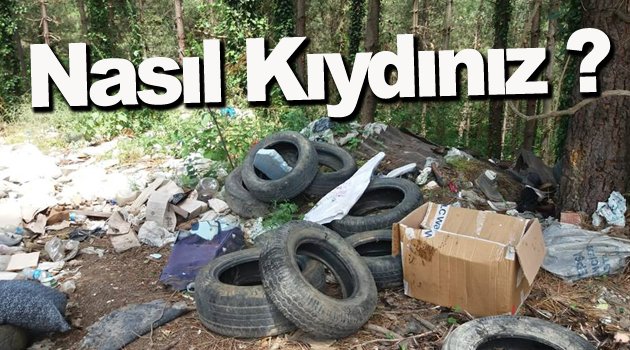 Sinop'ta Ormanı Çöplük Yaptılar !
